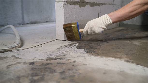 24/7 Emergency Crawl Space Encapsulation experts in Port Edwards, WI
